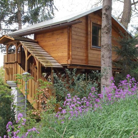 Baumhaus Wolfshoehle Fischach エクステリア 写真